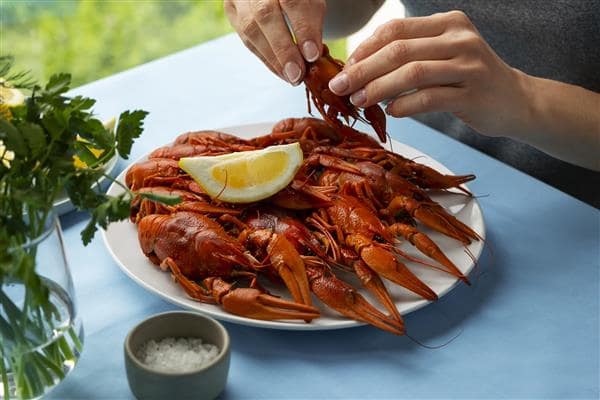 طراحی سایت آشپزی